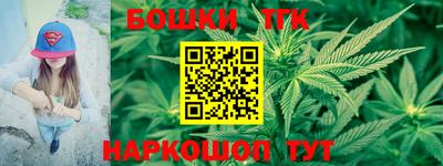 гашик Дубна