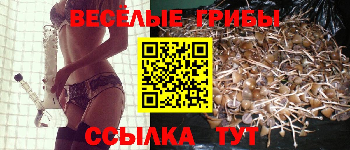  Cocaine Моздок